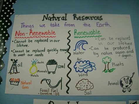 examples  natural resource
