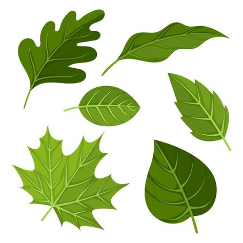 Clip Art Green Leaf