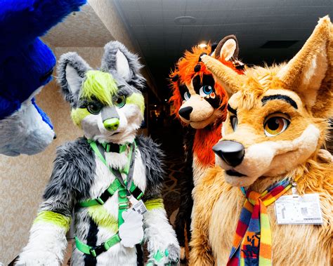 fastest growing furry convention  america vice