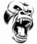 Gorilla Drawing Silverback Silhouette Vector Cartoon Head Easy Face Stencil Drawings Tattoo Angry Sketches Gorillas Ferocious Draw Illustration Andrey1005 Skull sketch template