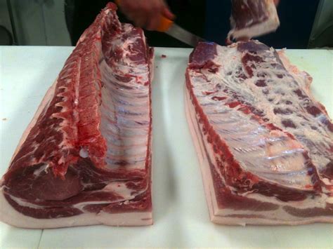 bbq anatomy 101 pork ribs texas monthly