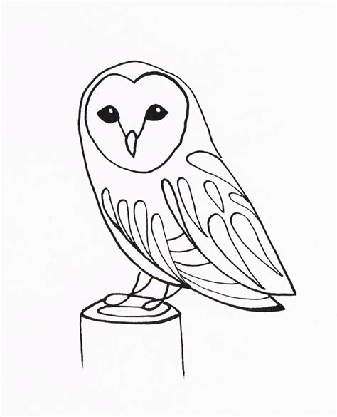 owl  drawing   owl  drawing png images