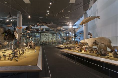 file naturalis biodiversity center museum exhibition