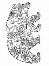 Coloring Pages Bear Zentangle Adults Adult Bright Teens Colors Favorite Choose Color sketch template