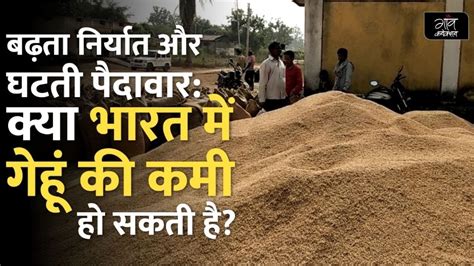 बढ़ता निर्यात कम खरीद और गेहूं की उपज में गिरावट क्या भारत में होगी