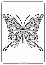 Coloring Insect Coloringoo sketch template