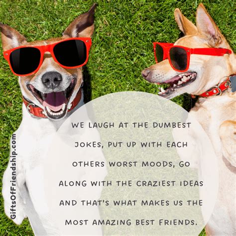 hilarious quotes  crazy friends gifts  friendship