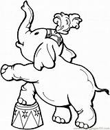 Circus Elephant Coloring Pages sketch template