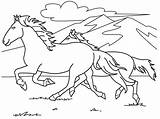 Mewarnai Kuda Sketsa Pemandangan Diwarnai Putih Hewan Hitam Sungai Berlari Lukisan Jadikan Referensi Gunung Pantai Perang sketch template