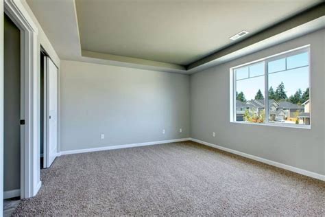 color paint   beige carpet home decor bliss interior