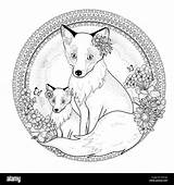 Fox Coloring Exquisite Adorable Elements Alamy Floral Line sketch template