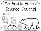 Coloring Arctic Animals Pages Animal Printable Kids Colouring Science Polar Book Pole North Print Quality High Coloringhome Choose Board Bear sketch template