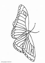 Coloring Printable Butterfly Pages Insect sketch template
