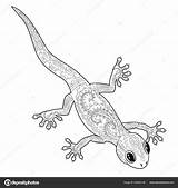 Gecko Zentangle Vectorstock Depositphotos St4 Lizards Lagartixas sketch template
