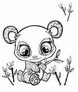 Cute Panda Coloring Pages Baby Pandas sketch template