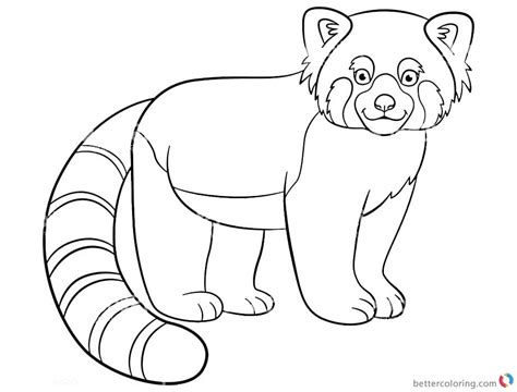 red panda coloring page  getcoloringscom  printable colorings