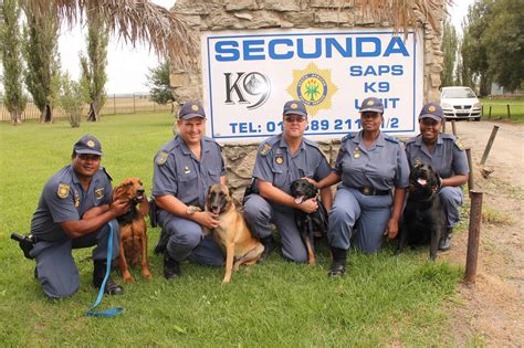 polices exposed fangs secunda news