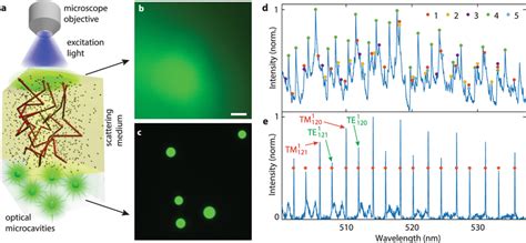 spectral reconstruction  microcavities beneath  scattering medium   scientific