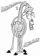 Madagascar Melman Jirafa Imagui Dibujosparacolorear Fugitivos sketch template