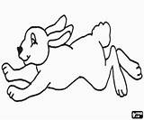 Rabbit Running sketch template