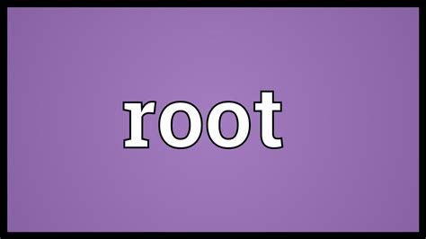 root meaning youtube