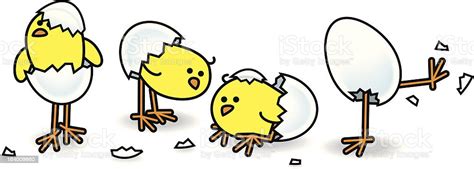 four easter chicks hatching from eggs stock illustration download