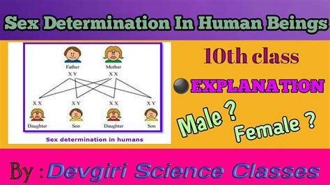Sex Determination In Human Being Do You Know 10th Class Mh