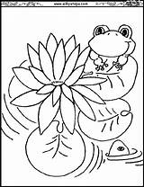 Coloring Pages Lily Frogs Printable Monet Water Kids Color Pad Claude Flowers Lilies Print Outline Children Clipart Pads Flower Drawing sketch template