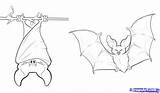 Bat Coloring Pages Flying Drawing Fox Bats Draw Halloween Printable Sheets Dragoart Animal Step Fruit sketch template