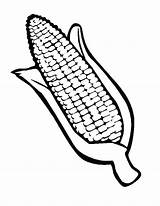 Corn Coloring Ear Drawing Popcorn Line Pages Thanksgiving Getdrawings Paintingvalley Getcolorings sketch template