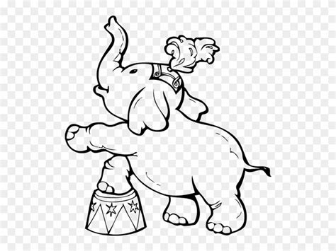 circus elephant coloring page clipart  pinclipart
