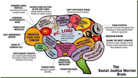 cartoon charts hard truth about social justice warrior brain