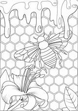 Abeille Miel Mariposas Colorare Hive Erwachsene Colorir Insectos Insekten Schmetterlinge Insetti Farfalle Ruche Habitat Justcolor Malbuch Adulti Insectes Biene Colmeia sketch template