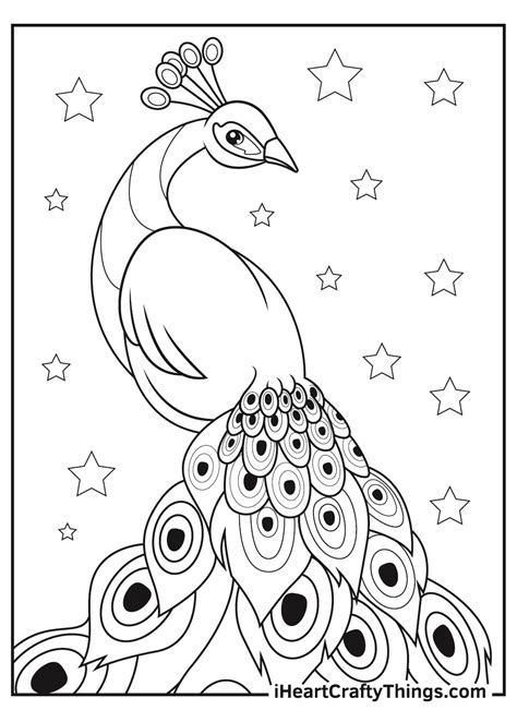 peacock coloring pages  kids