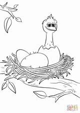 Coloring Nest Pages Bird Birds Printable Chick Newly Hatched Cute Template Eggs Drawing sketch template