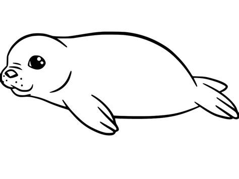 baby seal coloring page  printable coloring pages  kids