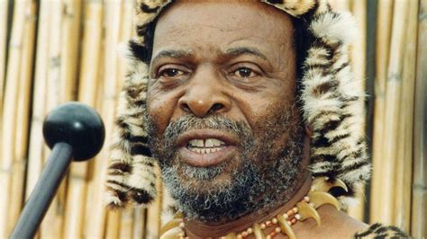 death of a zulu king he is planted not buried bbc news