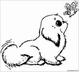 Coloring Pages Puppy Dog Unique Cute Printable Color Print Sad Pup Coloringpagesonly Getcolorings sketch template