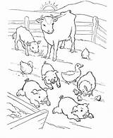 Coloring Pigs Farm Pages Barn Animal Printable Popular Yard sketch template