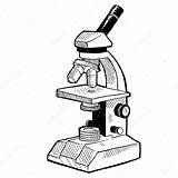 Microscope Mikroskop Microscopio Retrait Croquis Skizze Zeichnungs Wissenschaft Clipartmag Depositphotos sketch template