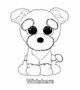 Beanie Coloring Pages Boo Ty Boos Babies Party Baby Kids Puppy Dog Printable Kleurplaten Colouring Sheets Whiskers Cute Rocks Kleurboeken sketch template