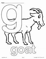 Coloring Pages Alphabet Letter Printable Animal Color Kids Versions Worksheets Preschool Quiver Letters Sheets Abc Goat Print Lowercase Getcolorings Lower sketch template