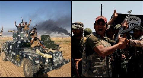 fallujah offensive delivers harsh blows  islamic state group