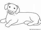 Dachshund Coloring Pages Browser Ok Internet Change Case Will Template Coloring2000 sketch template