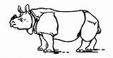 Rhino Coloring Pages Animals Armored sketch template