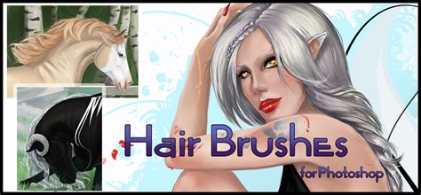 hair brushes set by aomori on deviantart