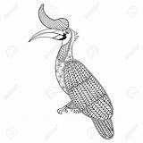 Coloring Pages Hornbill Adult Animal Template Colouring Wolf Zentangles sketch template