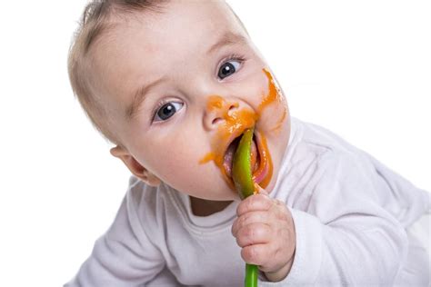 baby led weaning  purees     weaning