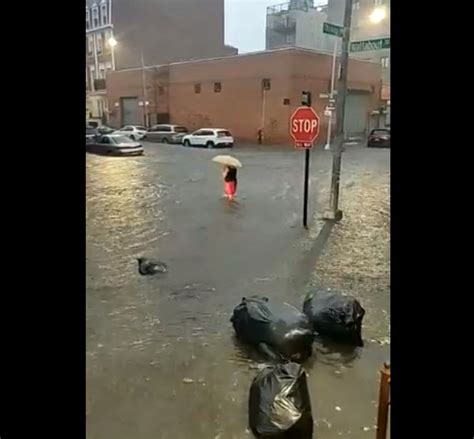 new yorker crosses the road amidst insane flood water goes viral neatorama
