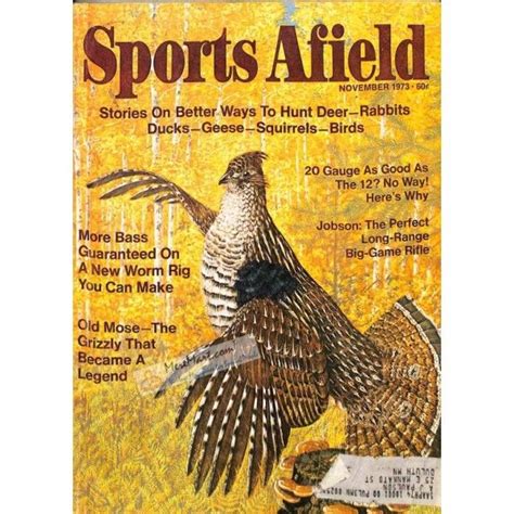 Cover Print Of Sports Afield November 1973 Vintage